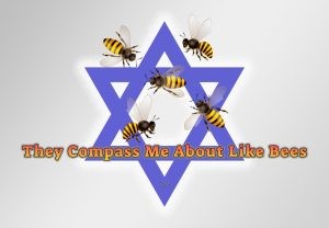 תמונה סמלית עם מגן דוד ודבורים
